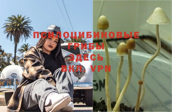 спайс Зеленодольск