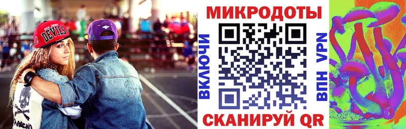 Купить закладки  Новоульяновск  Псилоцибиновые грибы мицелий 
